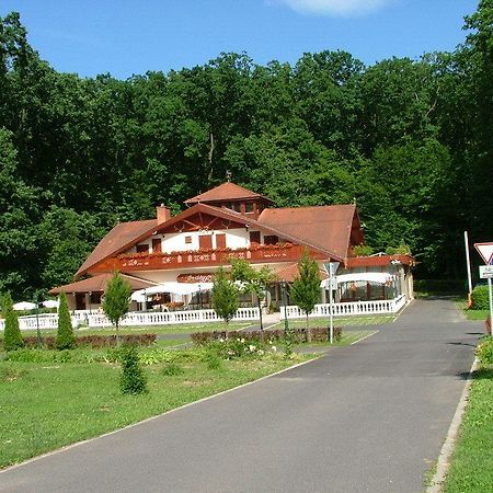 佐洛埃格塞格 Erdogyongye Etterem Es Panzio酒店 外观 照片